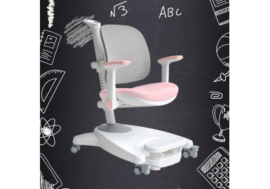Детское кресло ErgoKids Level