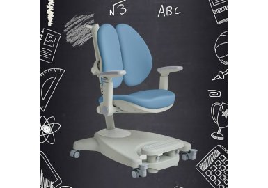 Детское кресло ErgoKids Clever Duo