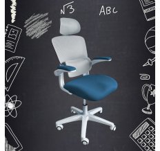 Детское кресло Ergokids Teen (T - 1)