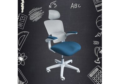 Детское кресло Ergokids Teen (T - 1)